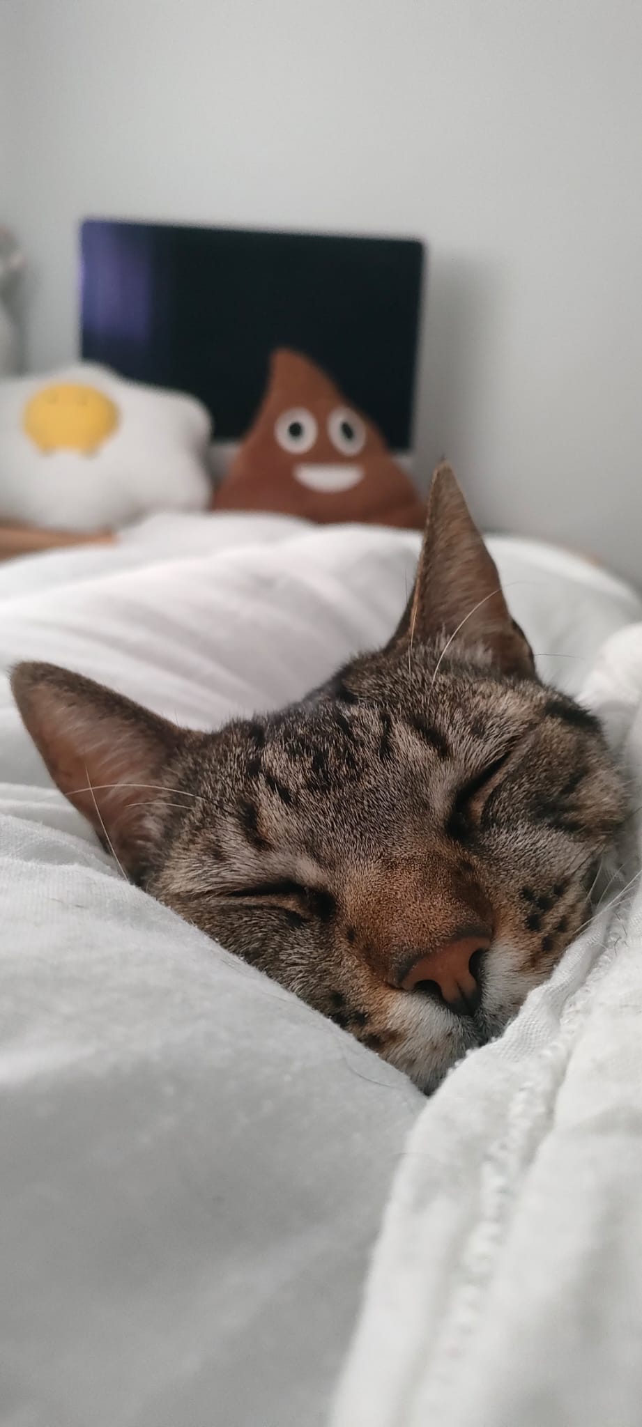 Imagen 2 del anuncio de @elsaaznar en duduo.